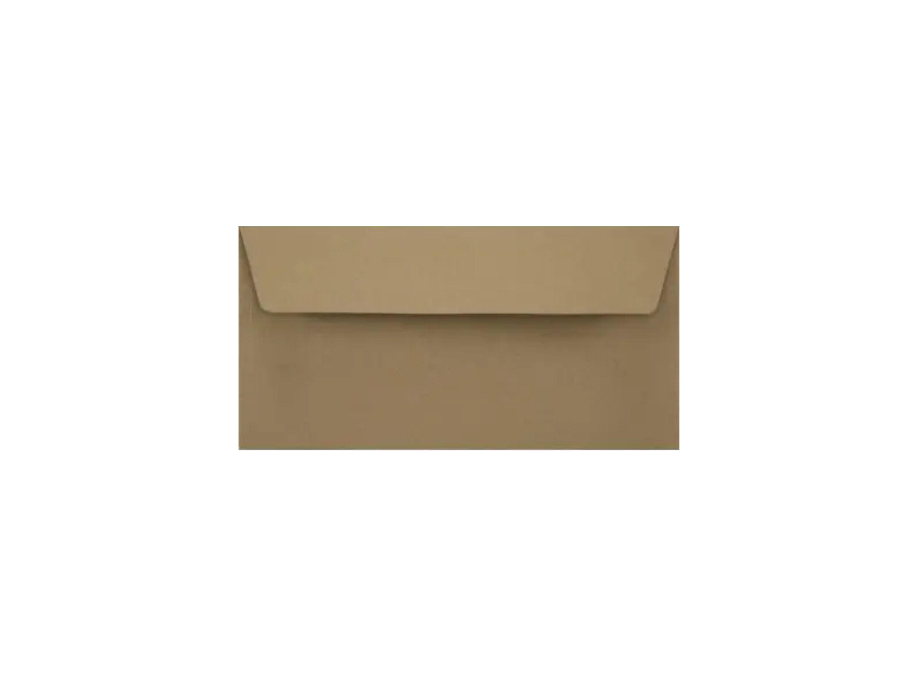 DL EKO Kraft (220×110mm) - HK